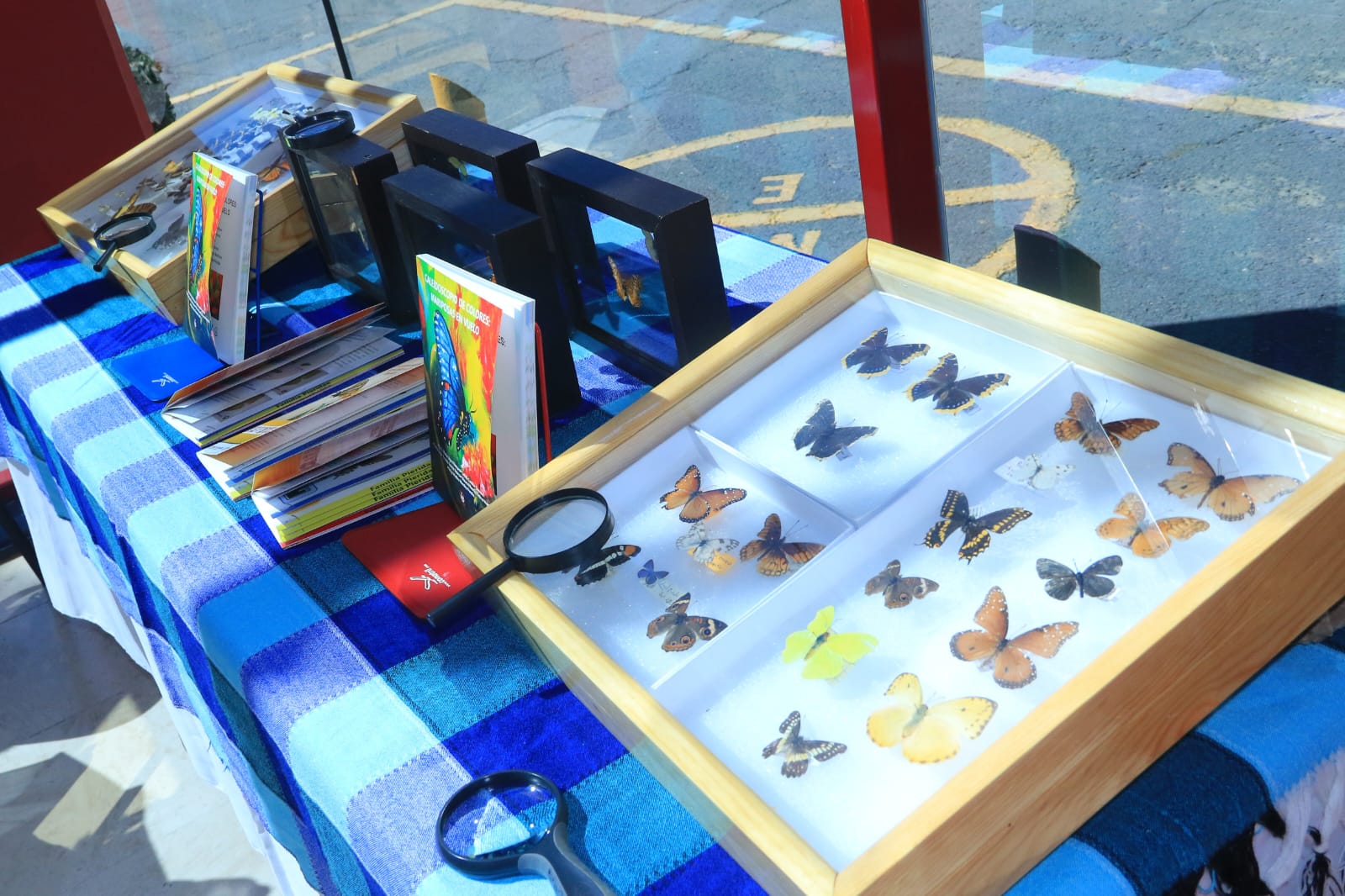 CICB UATx es un referente de solidez académica, fruto del trabajo comprometido en laboratorio y campo